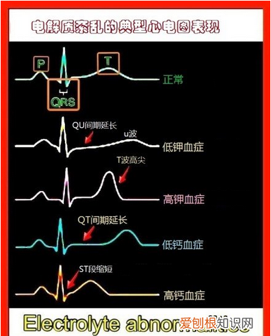 心血管系统详解知识点 心血管系统