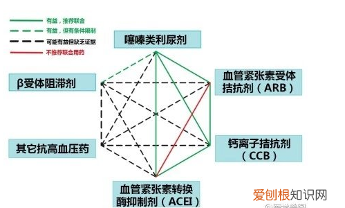 心血管系统详解知识点 心血管系统