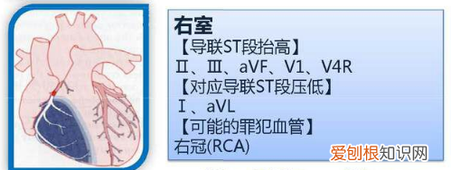心血管系统详解知识点 心血管系统