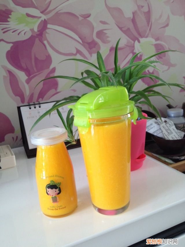 15种鲜榨果汁的做法 自制果汁