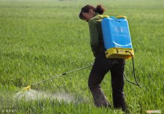 巧用高效氯氰菊酯，原来能杀这么多虫 高效氯氰菊酯