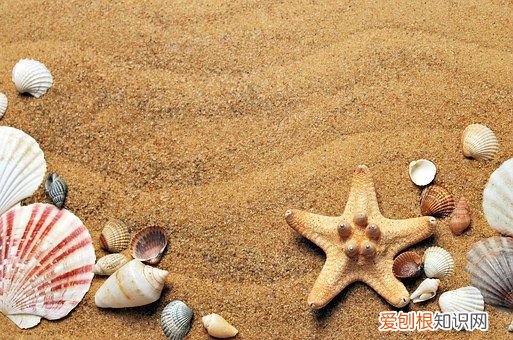 什么血型的人最容易招蚊子？ 什么血型招蚊子