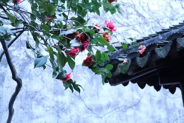 中国最美四大名园 四大名园