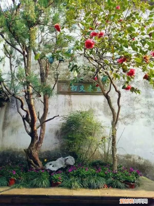 中国最美四大名园 四大名园