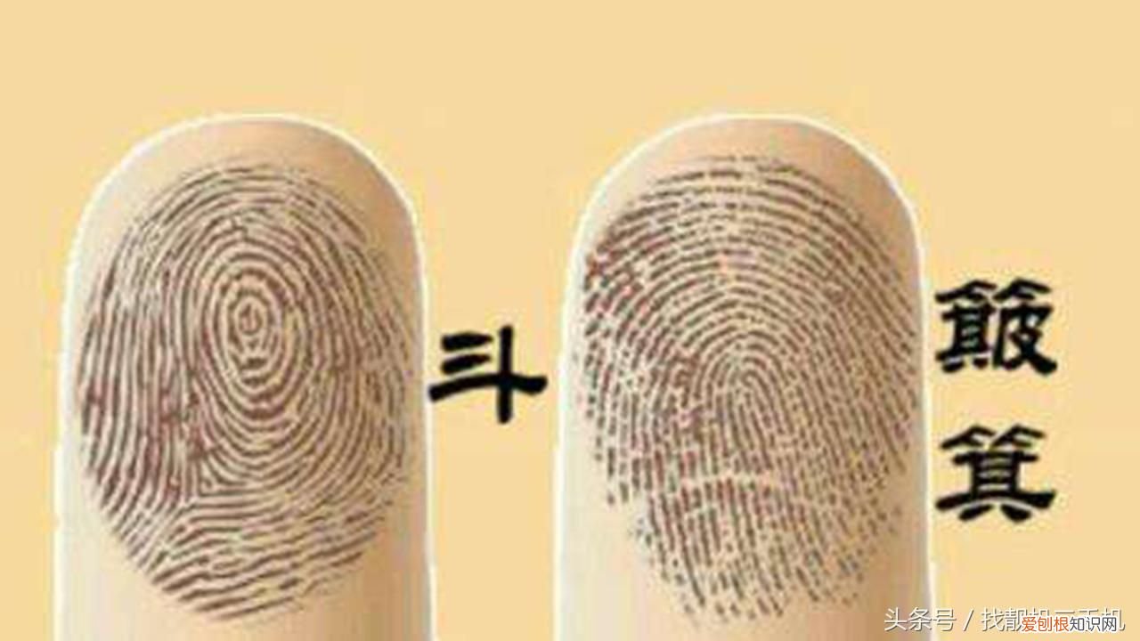 手指上的斗和簸箕 簸箕和斗