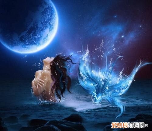 美人鱼”存在吗？ 世界上有美人鱼吗