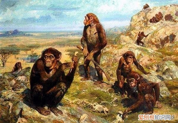 美人鱼”存在吗？ 世界上有美人鱼吗