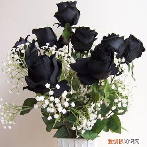 代表的花语有哪些你知道吗？ 玫瑰花的花语