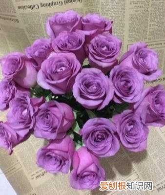 代表的花语有哪些你知道吗？ 玫瑰花的花语