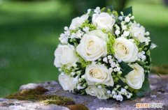 代表的花语有哪些你知道吗？ 玫瑰花的花语