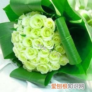 代表的花语有哪些你知道吗？ 玫瑰花的花语