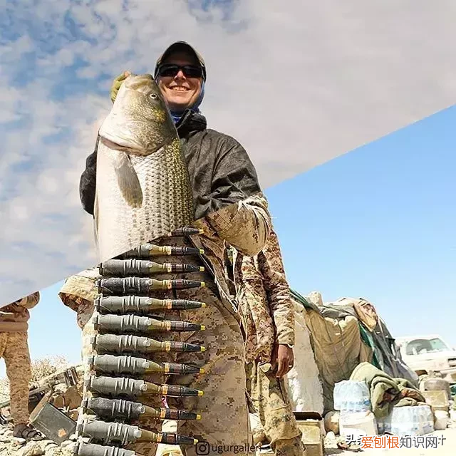 这是我见过创意最好的 PS照片…… ps创意图片