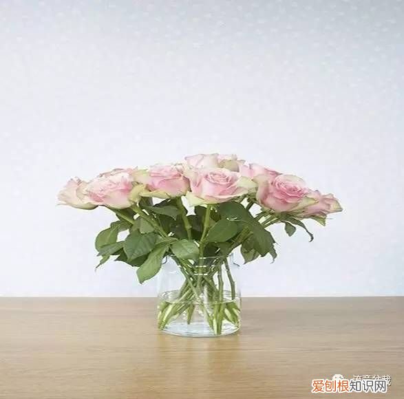 收到的玫瑰怎样保存更长久？ 玫瑰花怎么保存