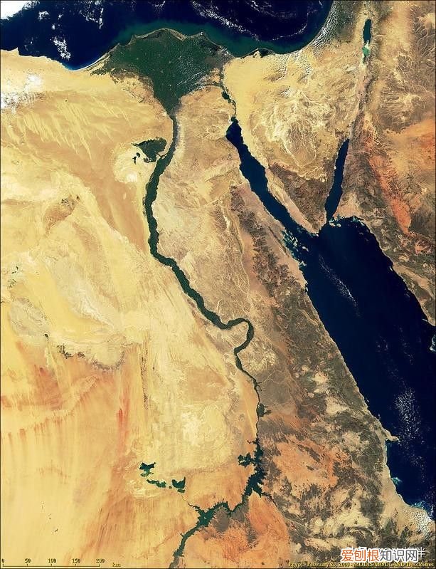尼罗河流经哪些国家？ 尼罗河在哪个国家