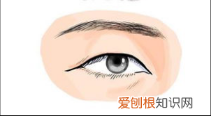 带你认识各种眼型 二十种眼形大全图解