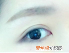 带你认识各种眼型 二十种眼形大全图解