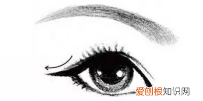 带你认识各种眼型 二十种眼形大全图解