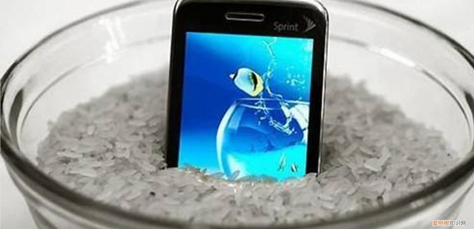 手机掉进水里后怎办方法 手机掉水里怎么办