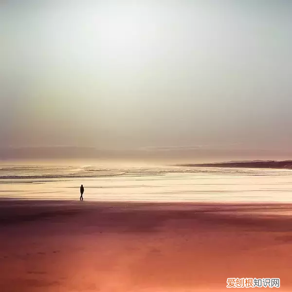 一个虚伪的人会是什么样子？ 虚伪的人