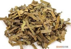 清肺止咳：枇杷叶的功效与应用 枇杷叶的功效与作用