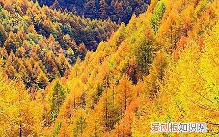 两个千古绝对“望江楼”、“上海自来水”，如何对下联？ 望江楼望江流