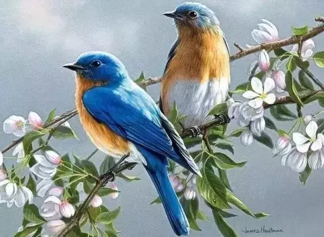 十首相思之词，道不尽的万般相思 相思的诗句