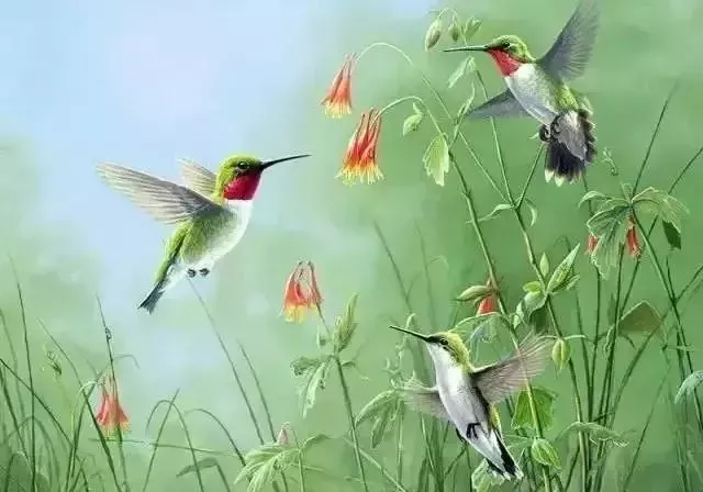 十首相思之词，道不尽的万般相思 相思的诗句