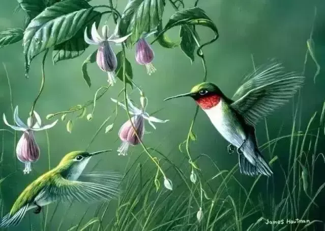 十首相思之词，道不尽的万般相思 相思的诗句