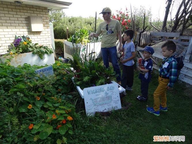 盘点移居澳洲的十大好处 澳大利亚移民好处