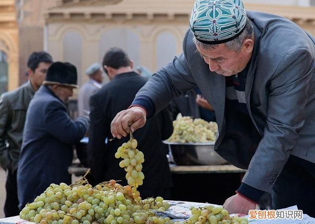 盘点移居澳洲的十大好处 澳大利亚移民好处