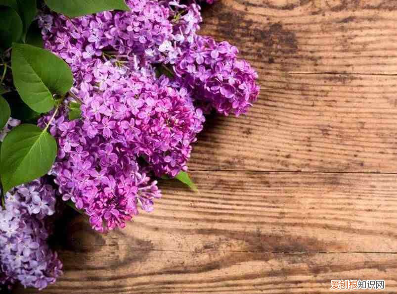 请善待，一路沧桑的自己 沧桑是什么意思