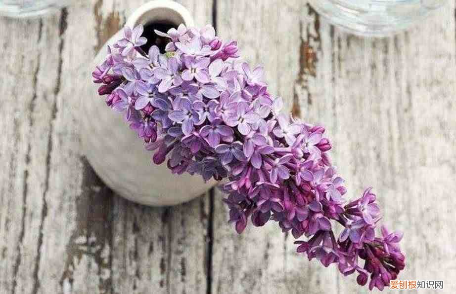 请善待，一路沧桑的自己 沧桑是什么意思