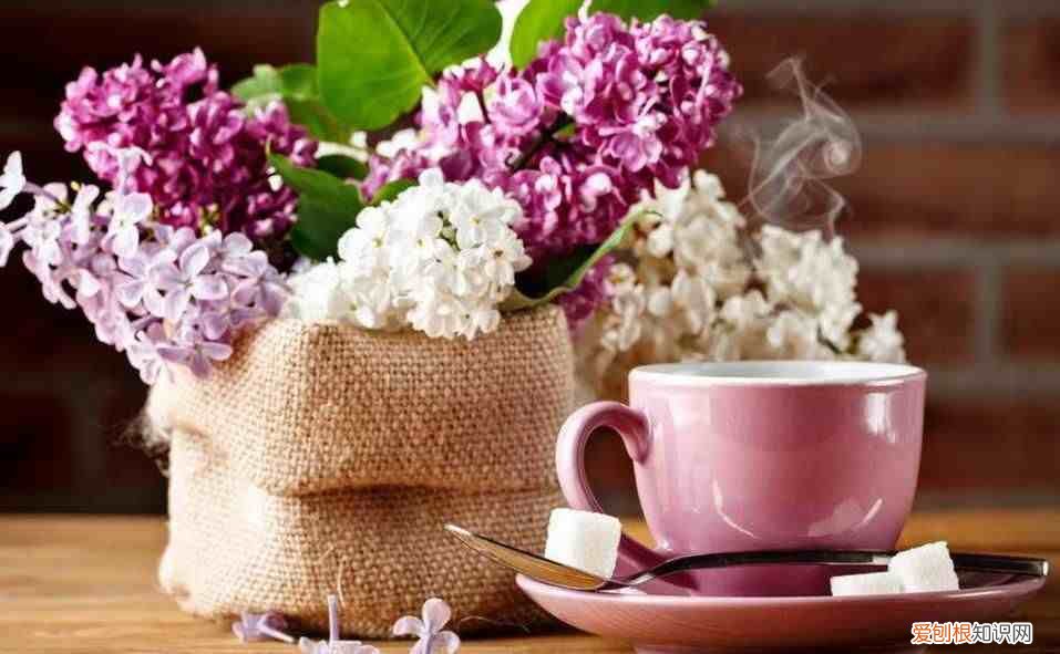 请善待，一路沧桑的自己 沧桑是什么意思