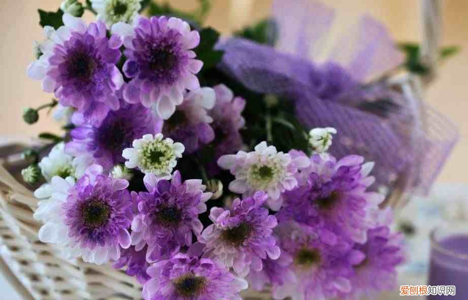 请善待，一路沧桑的自己 沧桑是什么意思