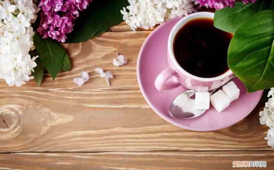 请善待，一路沧桑的自己 沧桑是什么意思