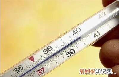 你知道人体的十二大极限吗？ 人体极限