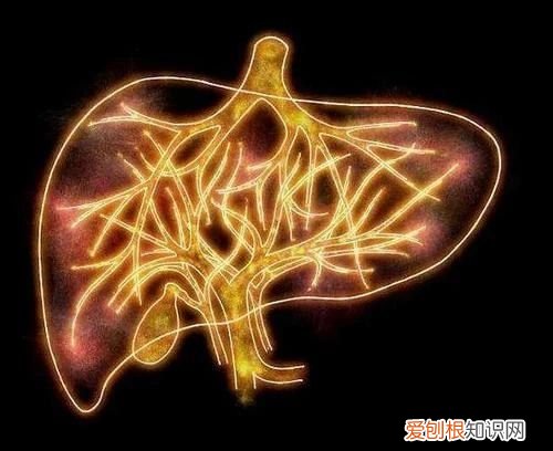 逍遥丸真的能“乐逍遥”吗 丹栀逍遥散