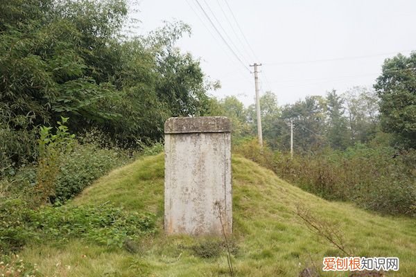 韦力︱寻墓“桐城三祖” 桐城派三祖