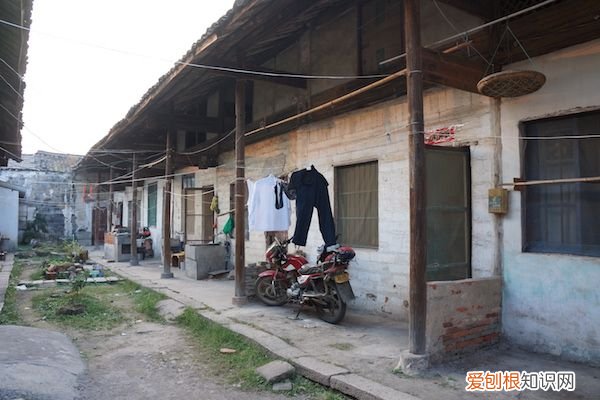 韦力︱寻墓“桐城三祖” 桐城派三祖