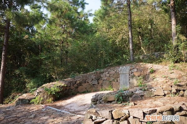 韦力︱寻墓“桐城三祖” 桐城派三祖