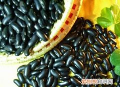 如何鉴别黑豆和黑芸豆 黑豆与黑芸豆的区别