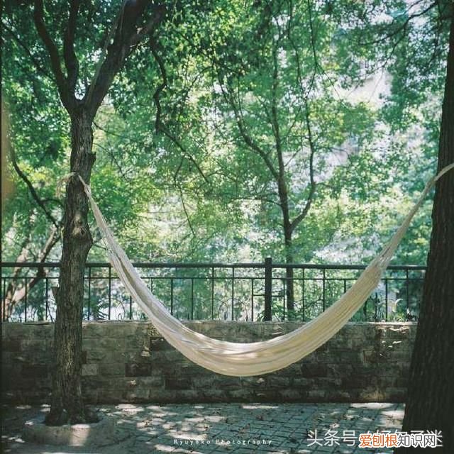 致十年后的自己一段话,句句写进心坎里! 写给十年后的自己