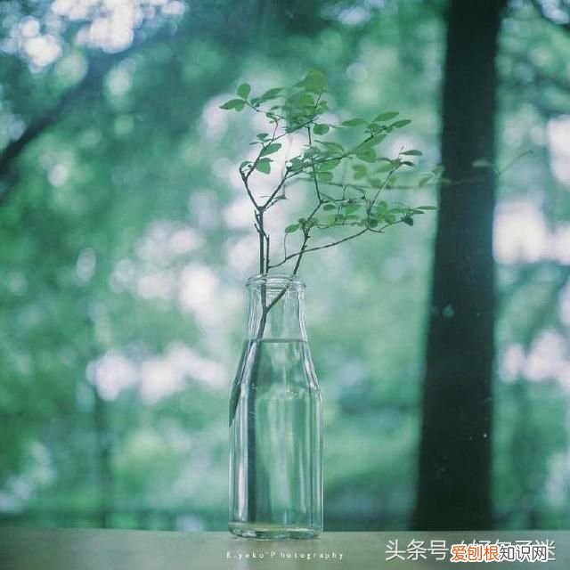 致十年后的自己一段话,句句写进心坎里! 写给十年后的自己