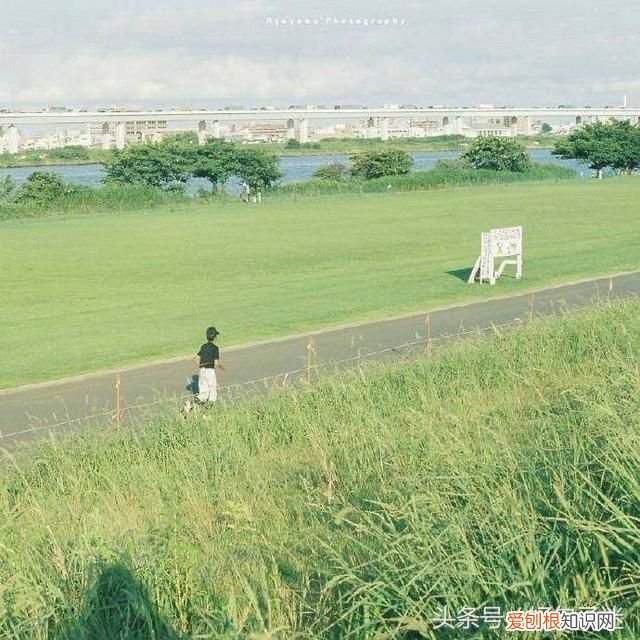 致十年后的自己一段话,句句写进心坎里! 写给十年后的自己