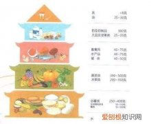 食物的五个类别要了解 食品的分类