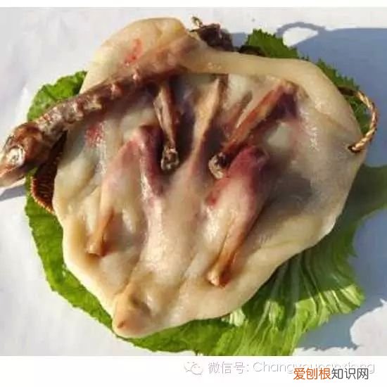 南雄美食，快到碗里来 南雄美食