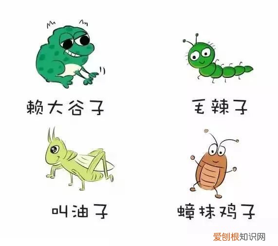 三分钟学会南京话 南京话怎么说