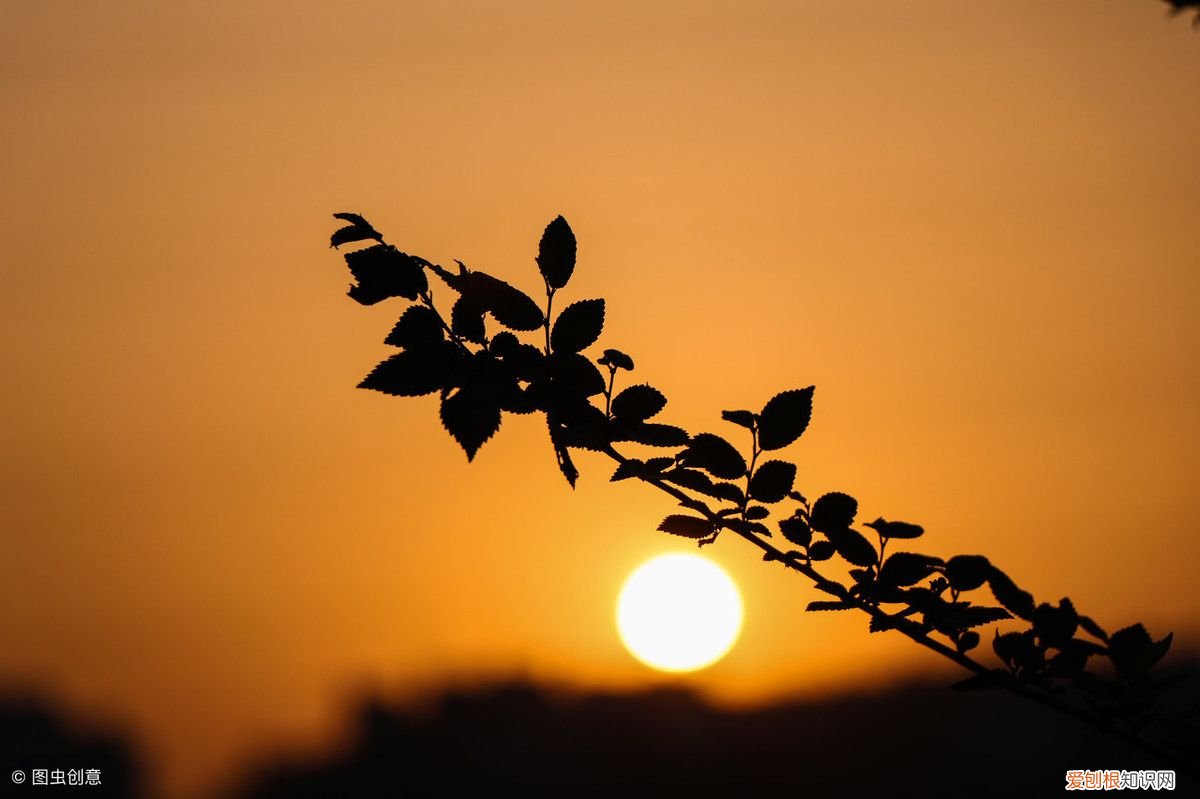 感动爱人的用心的句子 送给老公激励感动的话