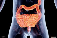 关于胃肠炎的治疗 胃肠炎的治疗