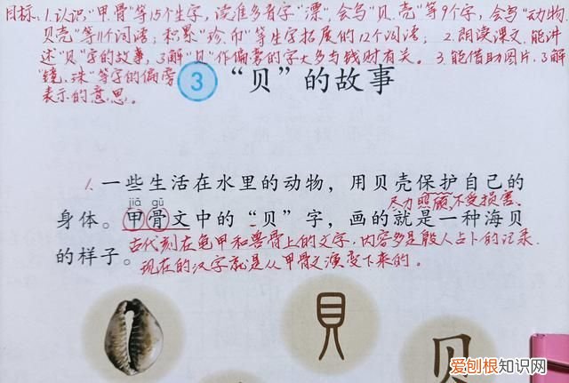 贝的由来，财字的由来